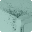 Mold